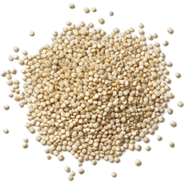 quinoa-bravofoods
